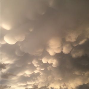 Meet your Posher, Kobe